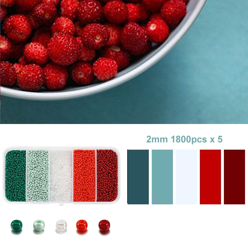 5 Color 2mm Czech Seed Beads Box