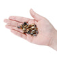 Bouchons de perles à sertir en acier inoxydable doré, 30 à 50 pièces
