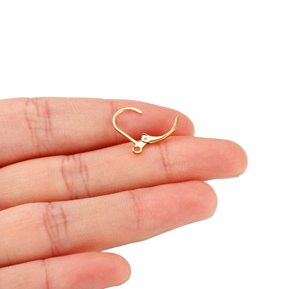 Hypoallergenic Stainless Steel Earring Hooks, 20-50pcs