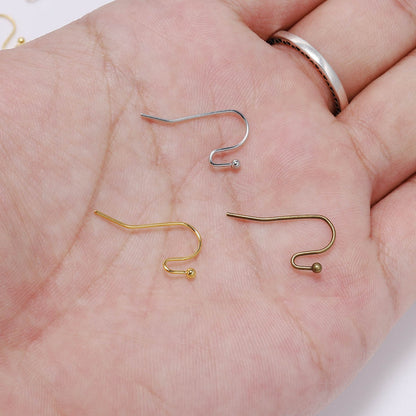 21x16mm  Earring Hooks, 100pcs