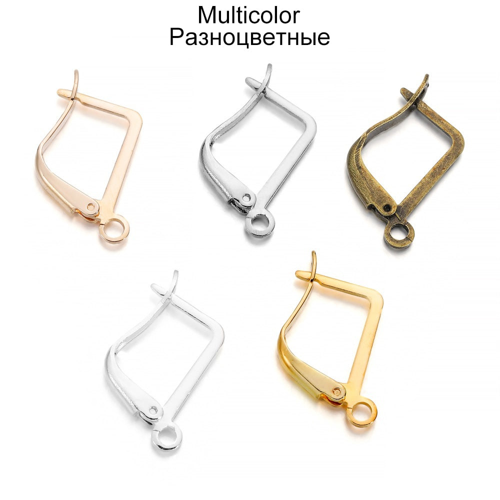 French Lever Back Earring Hooks, 50pcs