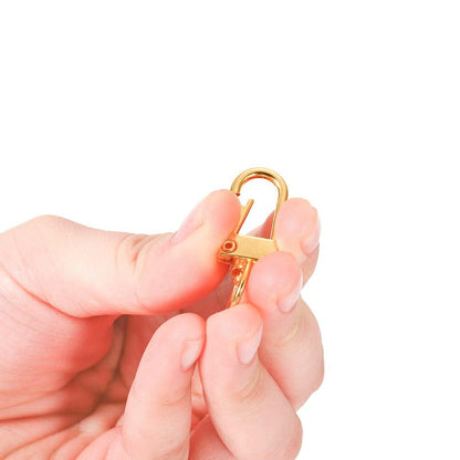 Buckle Key Ring Clasps 