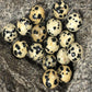 Dalmatian Jasper, Wholesale Round stone 4-12mm, 5-200pcs 
