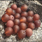 Matte Round Agate Red Carnelian beads, Wholesale Lot,  4-12mm 5-200pcs 