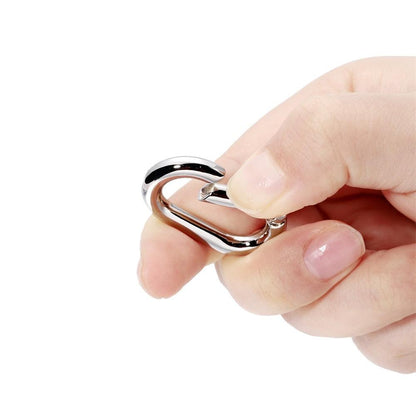 Metal Keychain Carabiner Clasps, Oval 